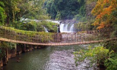 Les meilleurs circuits touristiques en Côte d&rsquo;Ivoire
